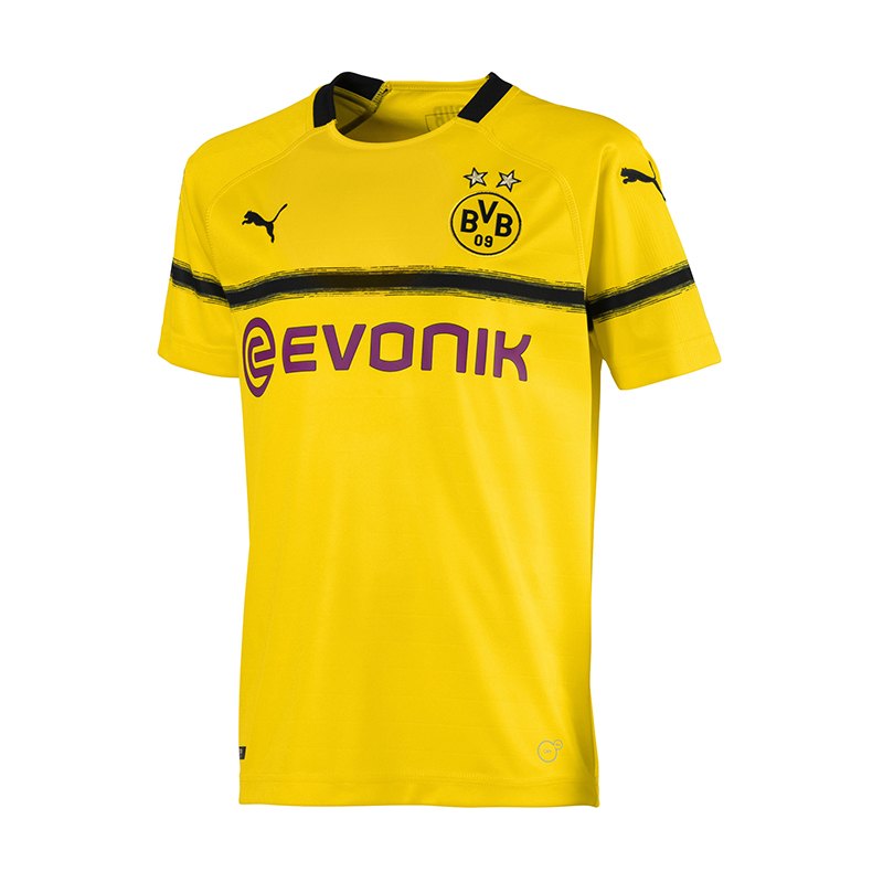 PUMA BVB Dortmund Trikot UCL 2018/2019 Kids F11 ...