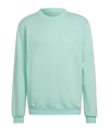 adidas Entrada 22 Sweatshirt Türkis - tuerkis