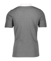 Nike Park 20 Poloshirt Grau Weiss F071 - grau