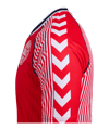hummel DBU 86 Replica Trikot Rot F3148 - rot