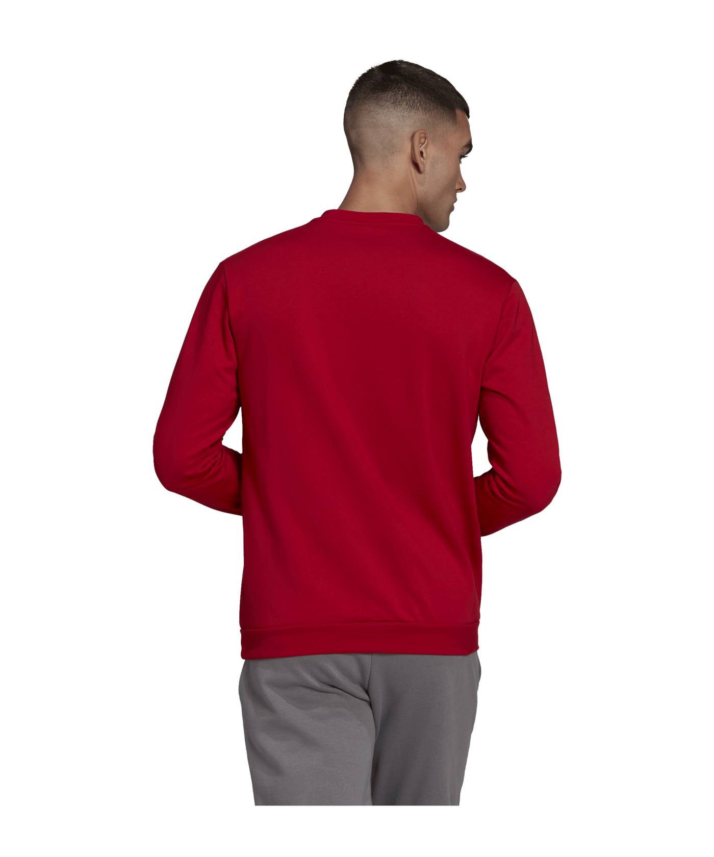 adidas Entrada 22 Sweatshirt Rot - rot