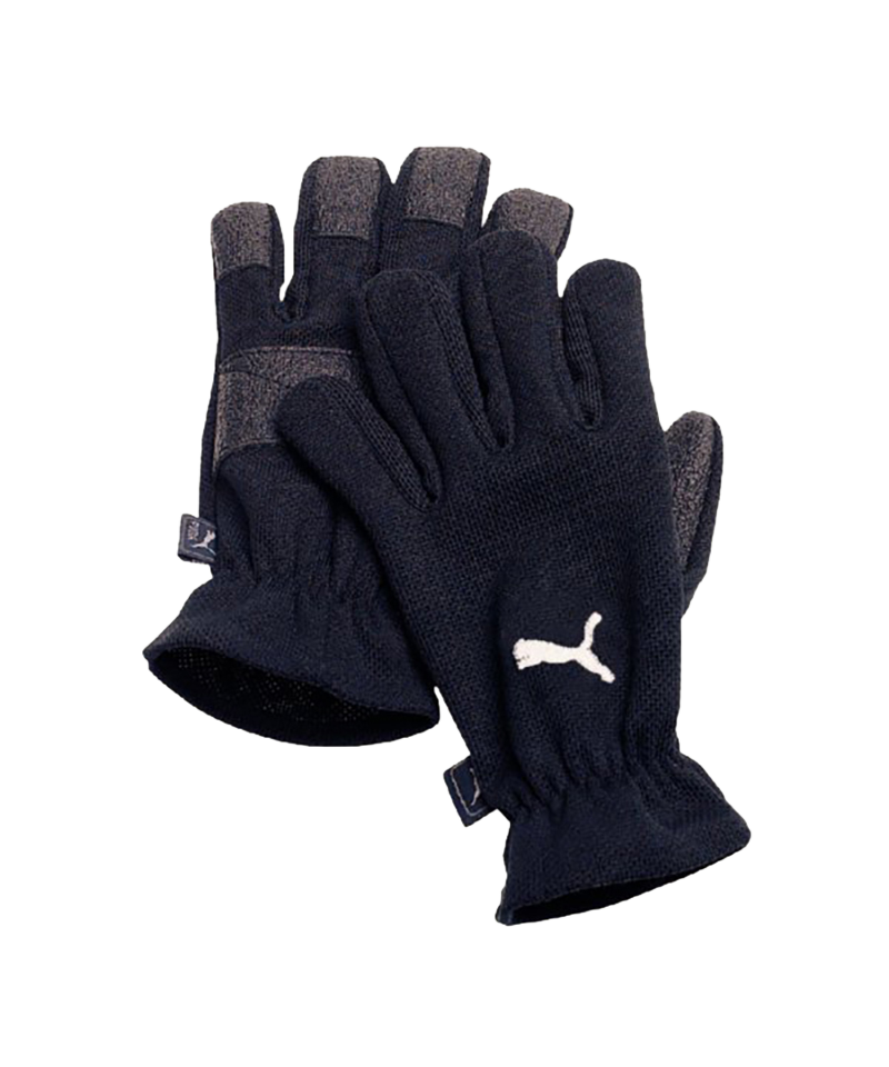 PUMA Feldspielerhandschuh Winter Players F01 - schwarz