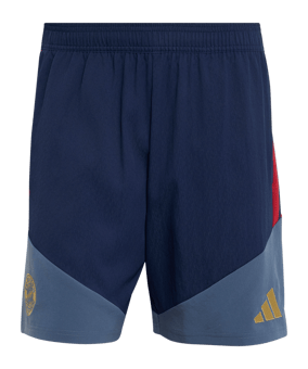 adidas FC Bayern München Downtime Short Blau - blau