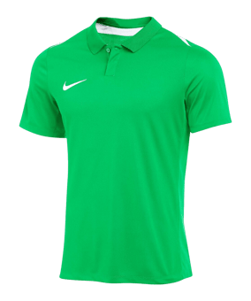 Nike Academy Pro 24 Poloshirt Grün F329 - gruen