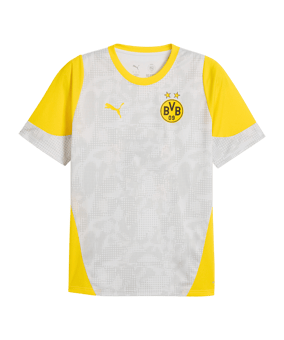 PUMA Borussia Dortmund Trainingsshirt Grau F18 - grau