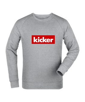 kicker Classic Box Sweatshirt Kids Grau FC250 - grau