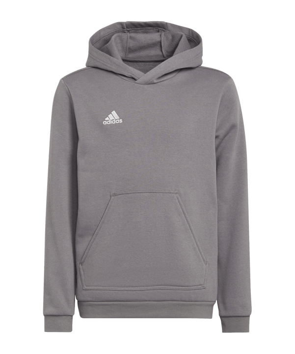 adidas Entrada 22 Hoody Kids Grau - grau