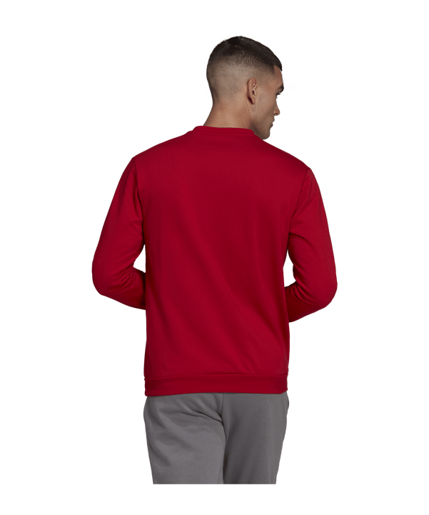 adidas Entrada 22 Sweatshirt Rot - rot