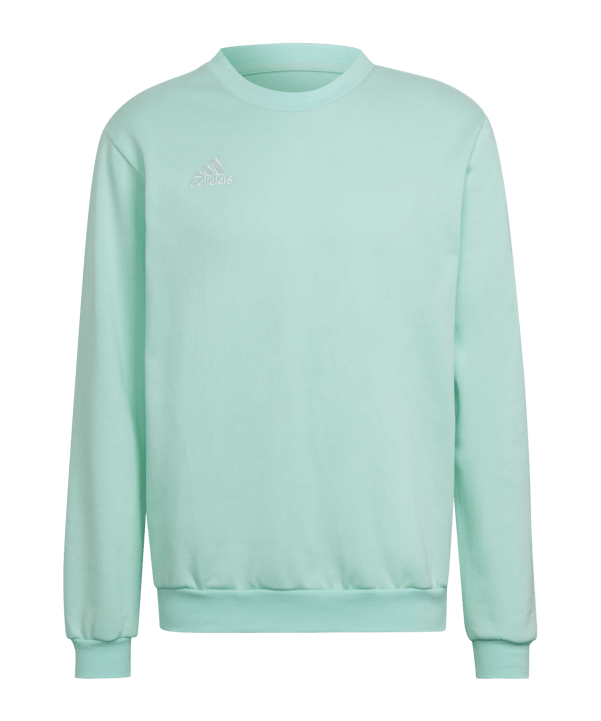 adidas Entrada 22 Sweatshirt Türkis - tuerkis