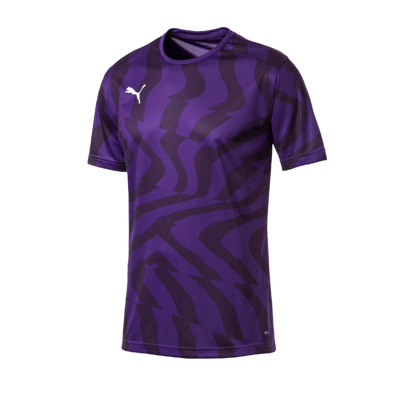 PUMA CUP Core Trikot kurzarm Lila F10 Mannschaftsbekleidung