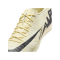 Nike Air Zoom Mercurial Vapor XV Academy IC Halle Beige Schwarz F700 - beige