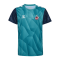 Hummel 1. FC Köln Prematch Shirt 2024/2025 Blau F7851 - blau