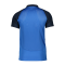 Nike Academy Pro Poloshirt Kids Blau F463 - blau