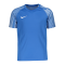 Nike Academy Trikot Kids Blau F463 - blau