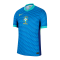 Nike Brasilien Auth. Trikot Away Copa America 2024 Blau F458 - blau
