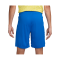 Nike Brasilien Short Home 2024 Blau F458 - blau