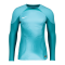 Nike Foundation Torwarttrikot langarm Blau F461 - blau