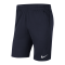 Nike Park 20 Knit Short Blau Weiss F451 - blau