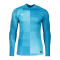 Nike Promo TW-Trikot langarm Blau F411 - blau