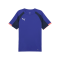 PUMA IndividualLiga Trikot Blau F01 - blau