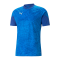 PUMA teamCUP Trainingsshirt Blau F02 - blau