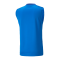 PUMA teamCUP Trainingssweatshirt Blau F02 - blau