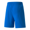 PUMA teamFINAL Short Blau F02 - blau