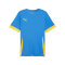PUMA teamGOAL Matchday Trikot Blau Gelb F16 - blau