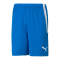 PUMA teamLIGA Short Blau F02 - blau