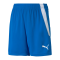 PUMA teamLIGA Shorts Kids Blau F02 - blau