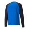 PUMA teamLIGA Trainig Sweatshirt Blau F02 - blau