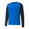 PUMA teamLIGA Trainig Sweatshirt Blau F02 - blau