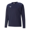 PUMA TeamLIGA Trainig Sweatshirt Blau F06 - blau