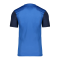 Nike Trophy V Trikot Blau F463 - dunkelblau
