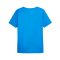 PUMA individualRise Graphic Trikot Blau F02 - dunkelblau