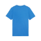 PUMA teamGOAL Casuals T-Shirt Kids Blau F02 - dunkelblau