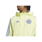 adidas Ajax Amsterdam Hoody Gelb - gelb