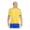 Nike Brasilien Re-Issue Trikot 2024 Gelb F741 - gelb