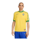 Nike Brasilien Re-Issue Trikot 2024 Gelb F741 - gelb