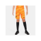 Nike FC Liverpool Torwartshort 2023/2024 Kids Gelb F705 - gelb