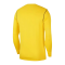 Nike Park 20 Sweatshirt Kids Gelb Schwarz F719 - gelb