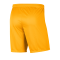 Nike Park III Short Orange F739 - gelb