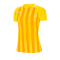 Nike Striped Division III Trikot KA Damen F719 - gelb