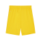 PUMA teamGOAL Short Gelb Schwarz F07 - gelb