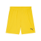 PUMA teamGOAL Short Gelb Schwarz F07 - gelb
