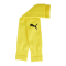 PUMA teamGOAL Sleeves Gelb Schwarz F07 - gelb