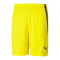 PUMA teamLIGA Short Gelb Schwarz F07 - gelb