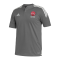 adidas 1. FC Nürnberg Poloshirt Grau - grau