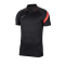 Nike Academy Pro Poloshirt Grau F069 - grau