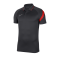 Nike Academy Pro Poloshirt Kids Grau Rot F068 - grau